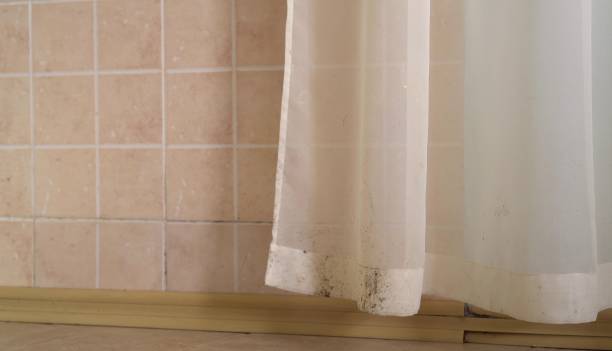 Best Air Quality Testing for Mold Spores  in Beaver Creek, TX