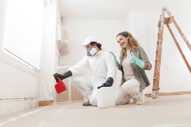 Best Mold-Related Health Consultation  in Beaver Creek, TX